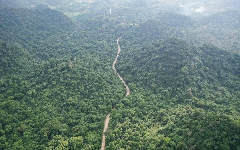 Cúc Phương là rừng nguyên sinh đầu tiên tại Việt Nam và đến nay vẫn giữ được vẻ hoang sơ nguyên vẹn (Nguồn: Internet)